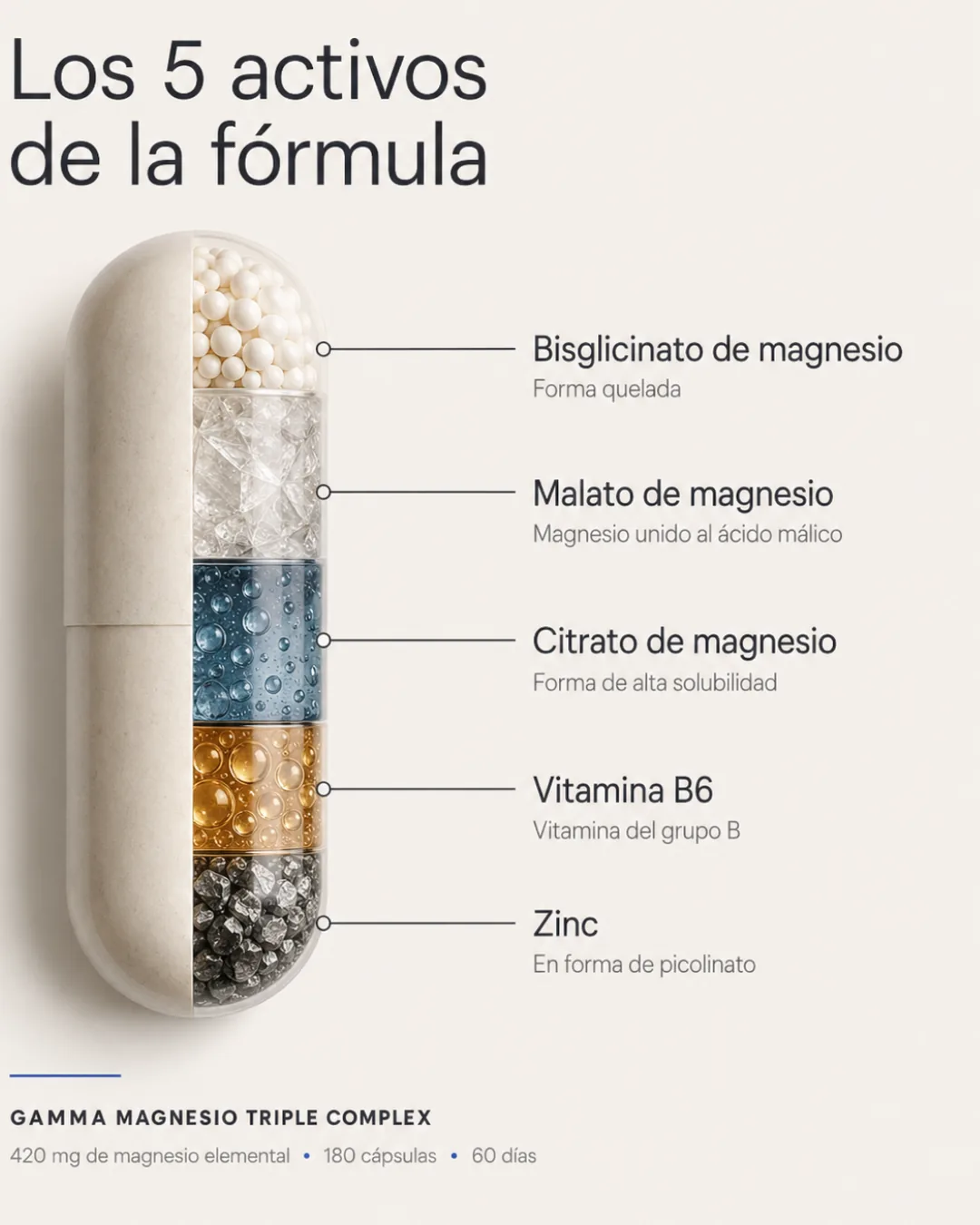 Los 5 activos de la fórmula Gamma Magnesio Triple Complex